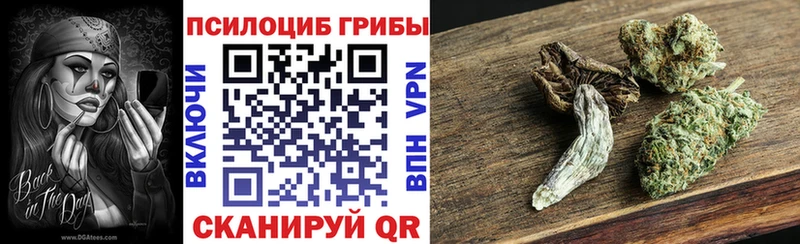 наркошоп  Сурск  Галлюциногенные грибы Magic Shrooms 